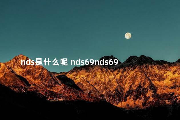 nds是什么呢 nds69nds69